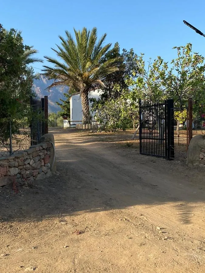 Villa Bianca Tertenìa 0*,